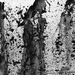 Womeninfuneralprocession_s_square