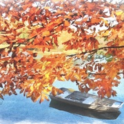 Image_card