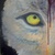 lady_cyclops