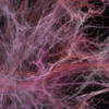 Apophysis-130202-4_kopie_thumb