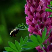 Img_2302_card
