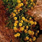 Img_2256_card