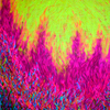 Flow-growth_copy_thumb
