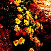 Img_2265_card