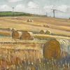 Hay_bails_august_thumb