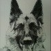 Rex_square