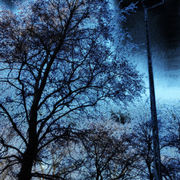 Dscn0659