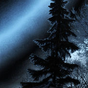 Dscn0675