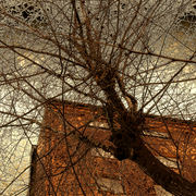 Dscn0677