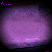Cats_eye_vol