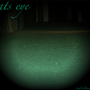 Cats_eys_vol