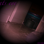 Cats_eye_vol