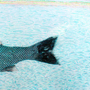 Fish-tale_card