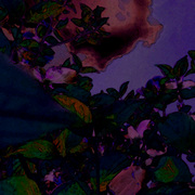 A_view_of_the_coming_storm_card