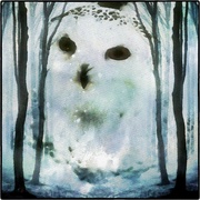 Snowowl_snapseed_card
