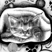 Blck_n_whte_kitty_card