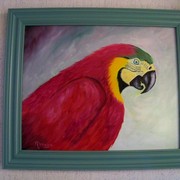 Red_macaw_card
