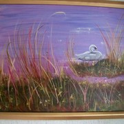 Drifing_swan_card