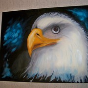 Eagle_eye_card