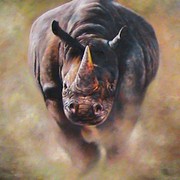 Rino_card