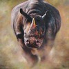 Rino_thumb