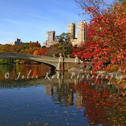 Nyc_fall_card