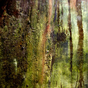 Walltexture_card