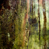 Walltexture_thumb