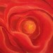 20121017_215754_square