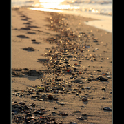 Morning_shoreline_2_card