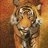 Tiger_thumb