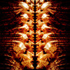 Facetoface_thumb