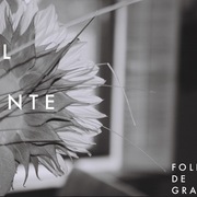 Belafonte_promo-25_card