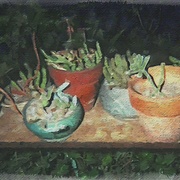 Image_card