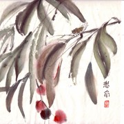 Ch-13-mini_cherry___cicada_card