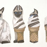 Catonacoldtinroof_card