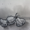 Pears_2013_thumb