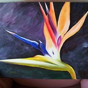 Bird_of_paradise_on_mauve_card