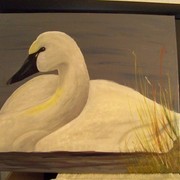 Serene_swan_card