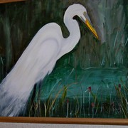 Plumed_egret_1_card