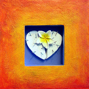 Freida_s_valentine_card