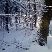 Zmiana_rozmiarupark_4_card