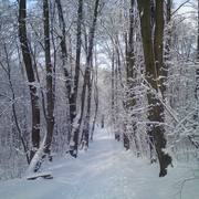 Zmiana_rozmiarupark_card
