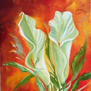 Picture_738calla_lilies_card