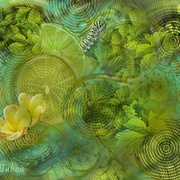 Image_card