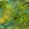 Image_thumb