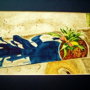 Summer_shadow_16x20_card