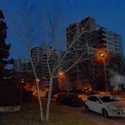 Dscn0879