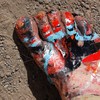 Dsc_6753_thumb