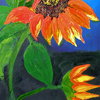 California_orange_sunflower_thumb